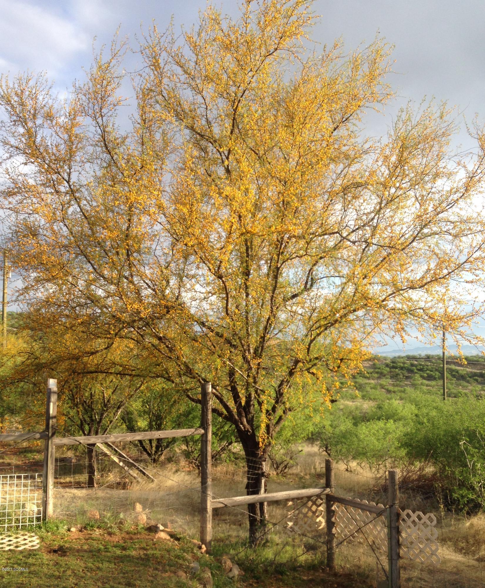 Rio Rico Ranchettes 17 - Residential
