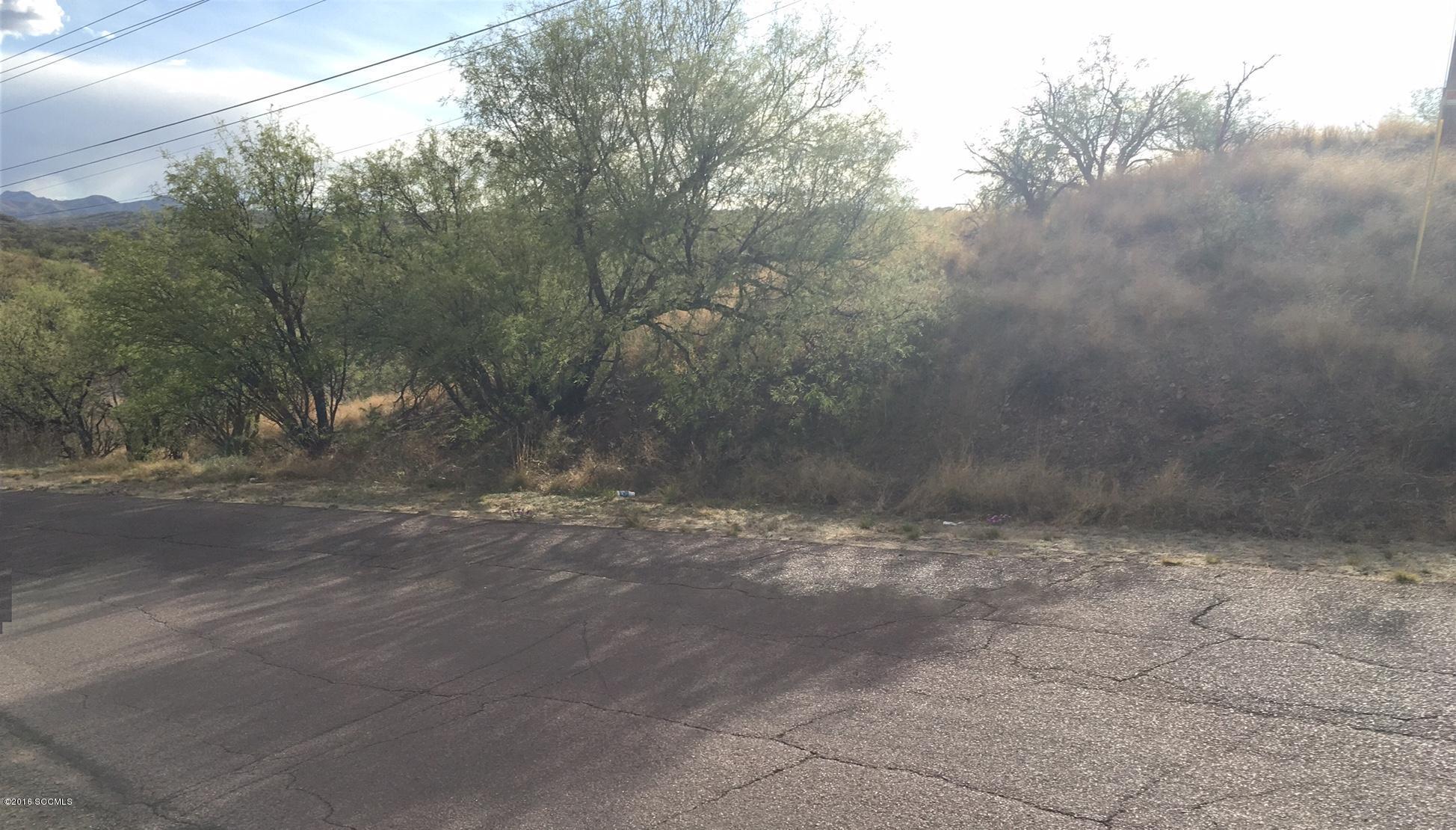 Great lot - GR zoning allows horses in this property. A portion of this lot is in the floodplain, please see attached flood, topography and zoning maps. A house could also be built in the higher elevations.