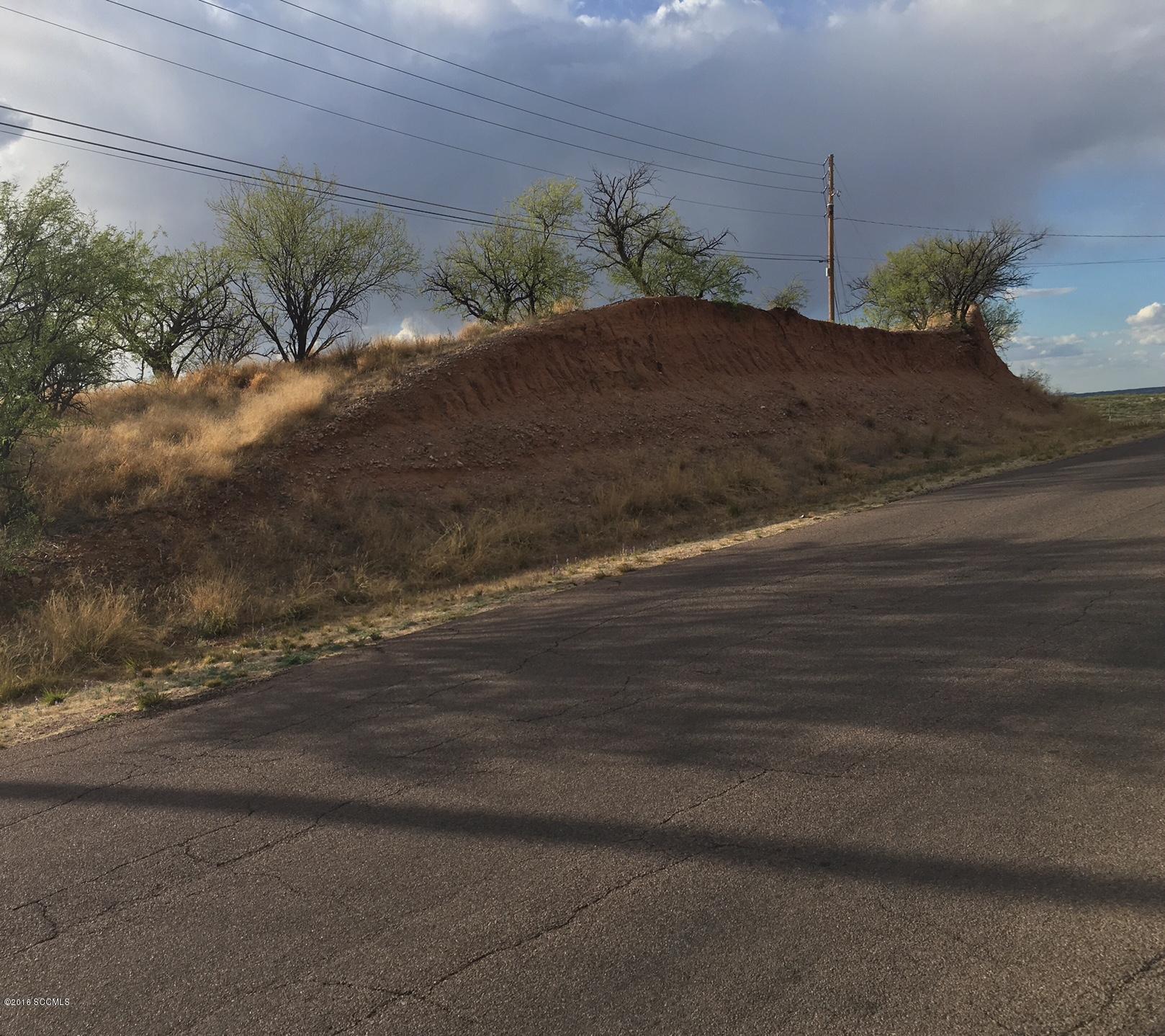 Rio Rico Estates 13 - Land