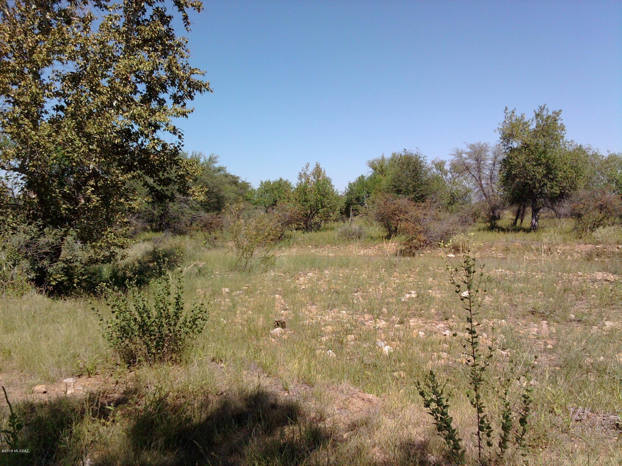 Turkey Creek Ranch - Land