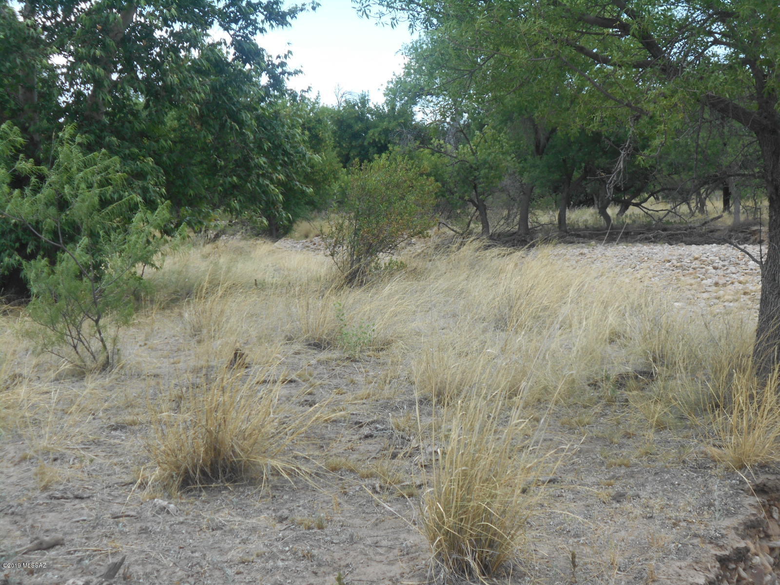 Turkey Creek Ranch - Land