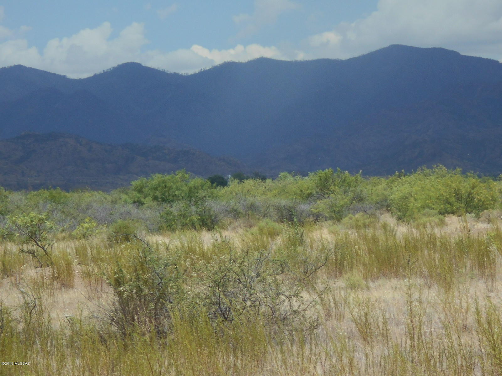 Turkey Creek Ranch - Land