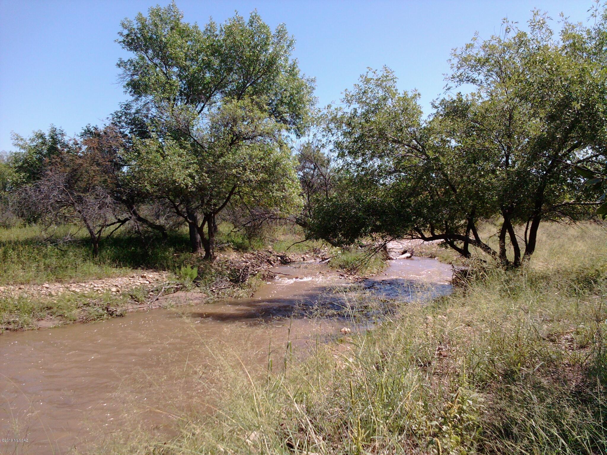 Turkey Creek Ranch - Land