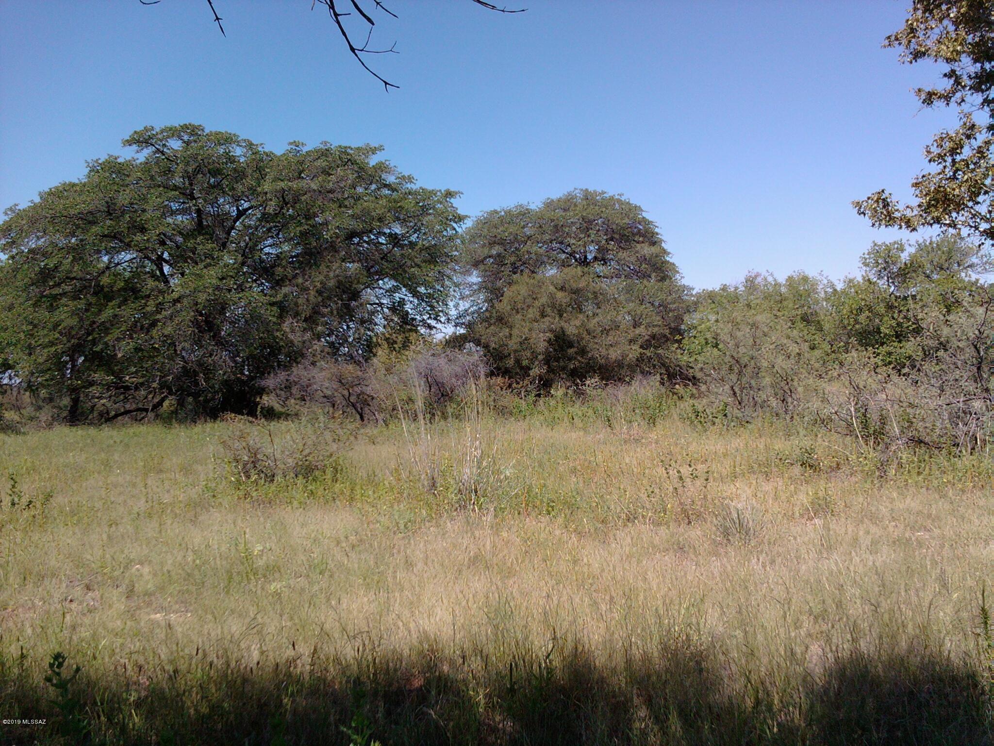 Turkey Creek Ranch - Land