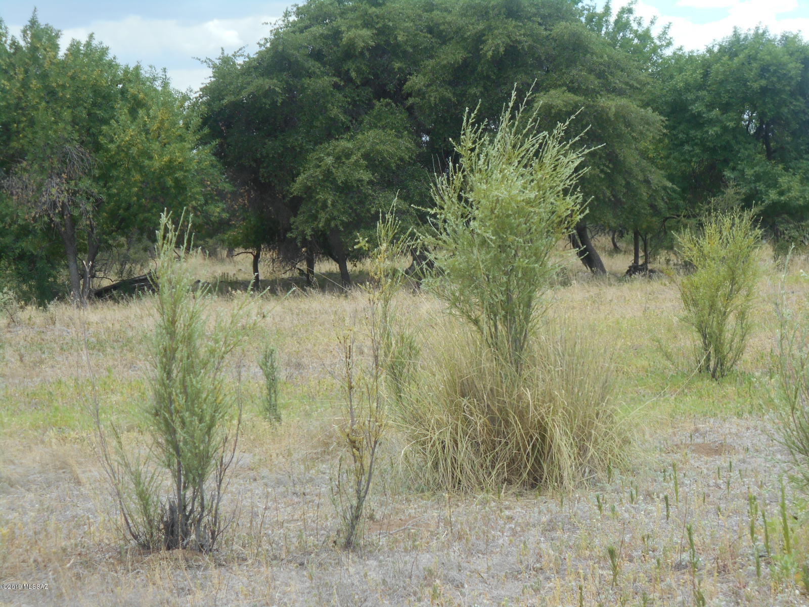 Turkey Creek Ranch - Land