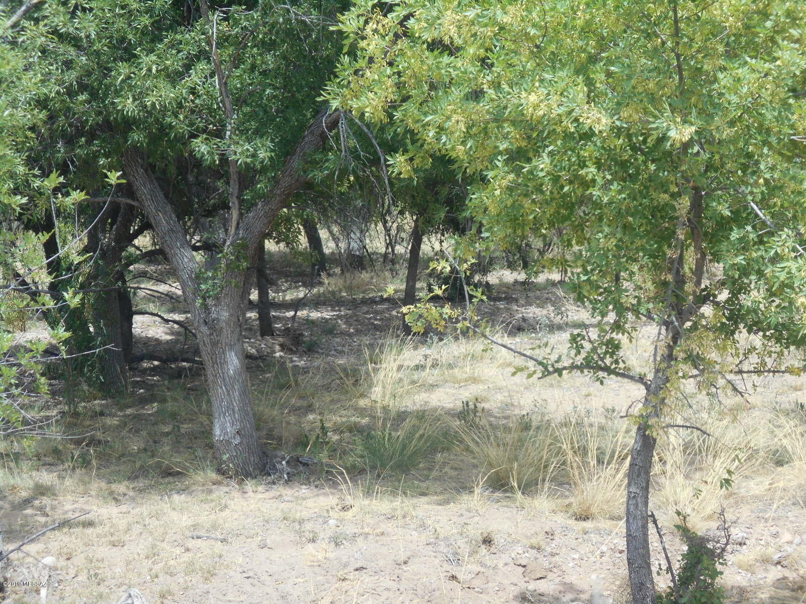 Turkey Creek Ranch - Land