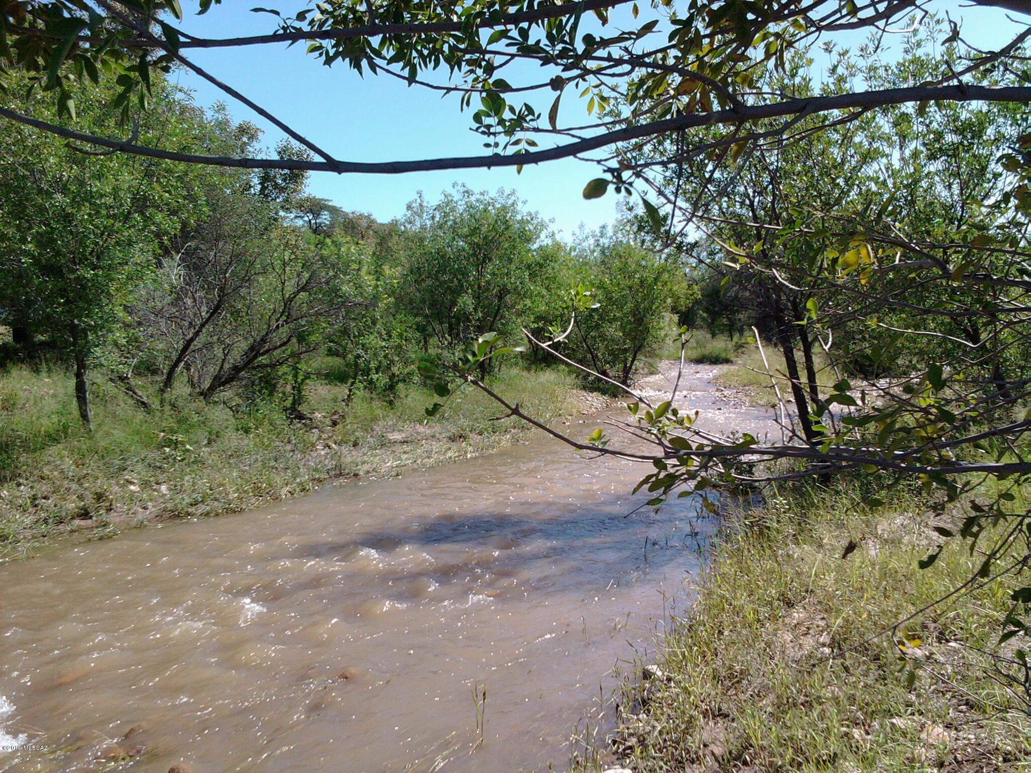 Turkey Creek Ranch - Land
