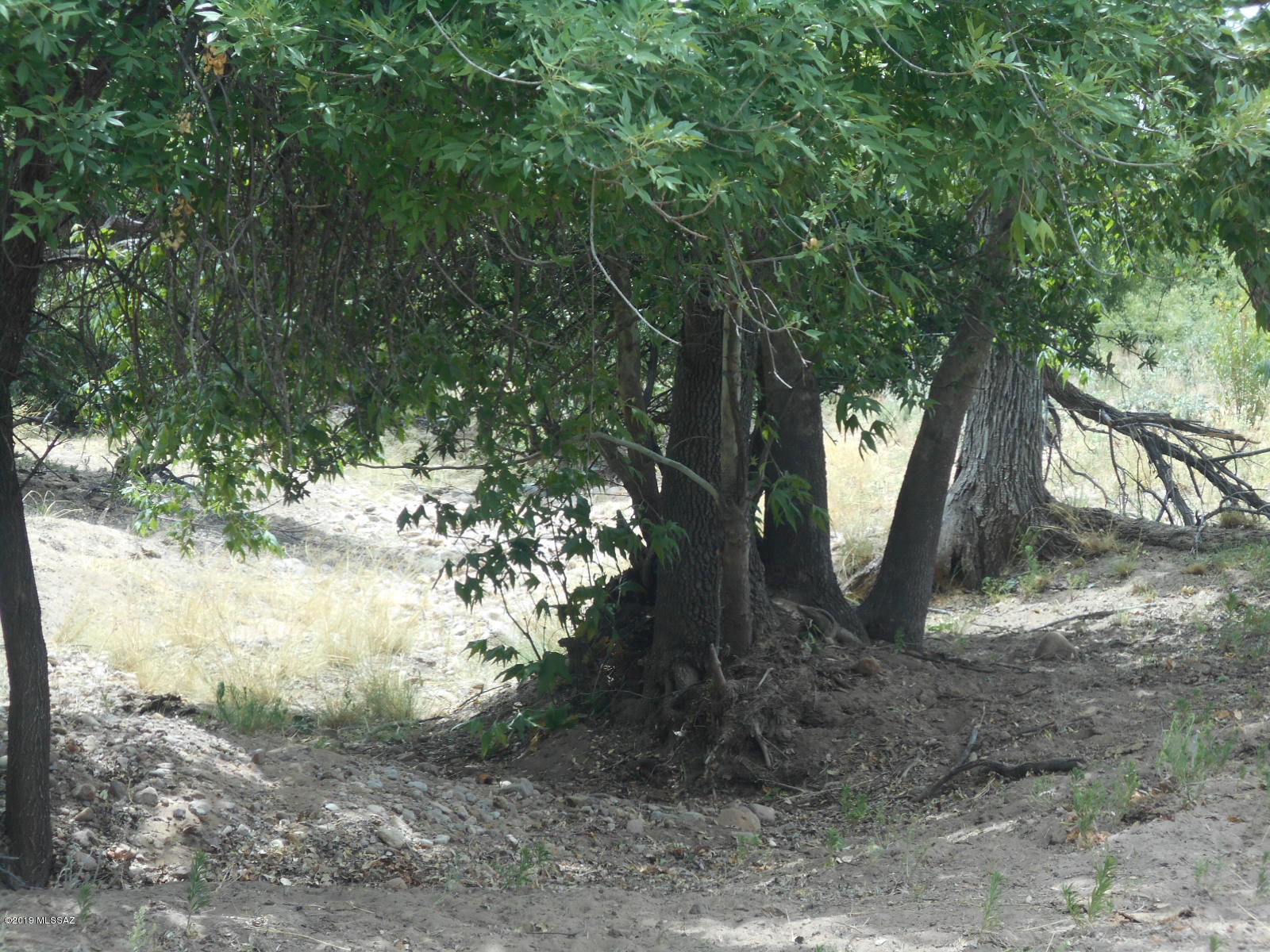 Turkey Creek Ranch - Land