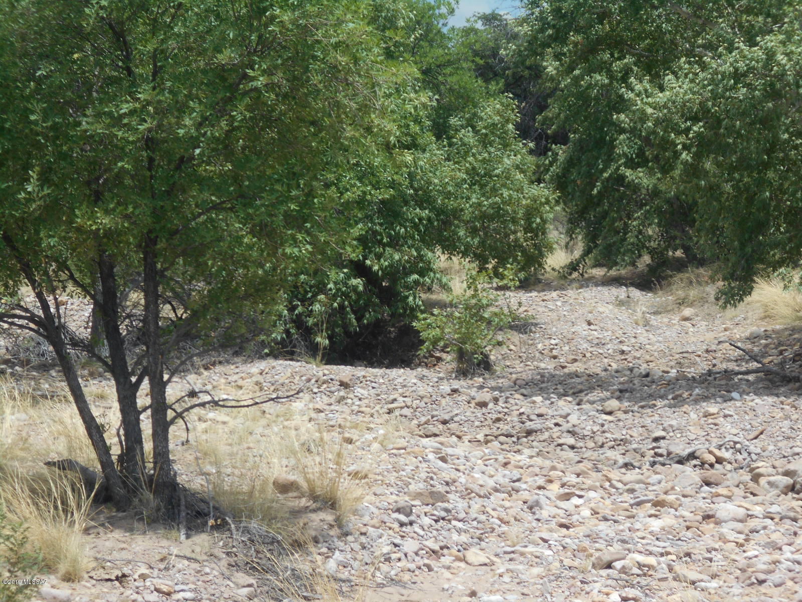Turkey Creek Ranch - Land