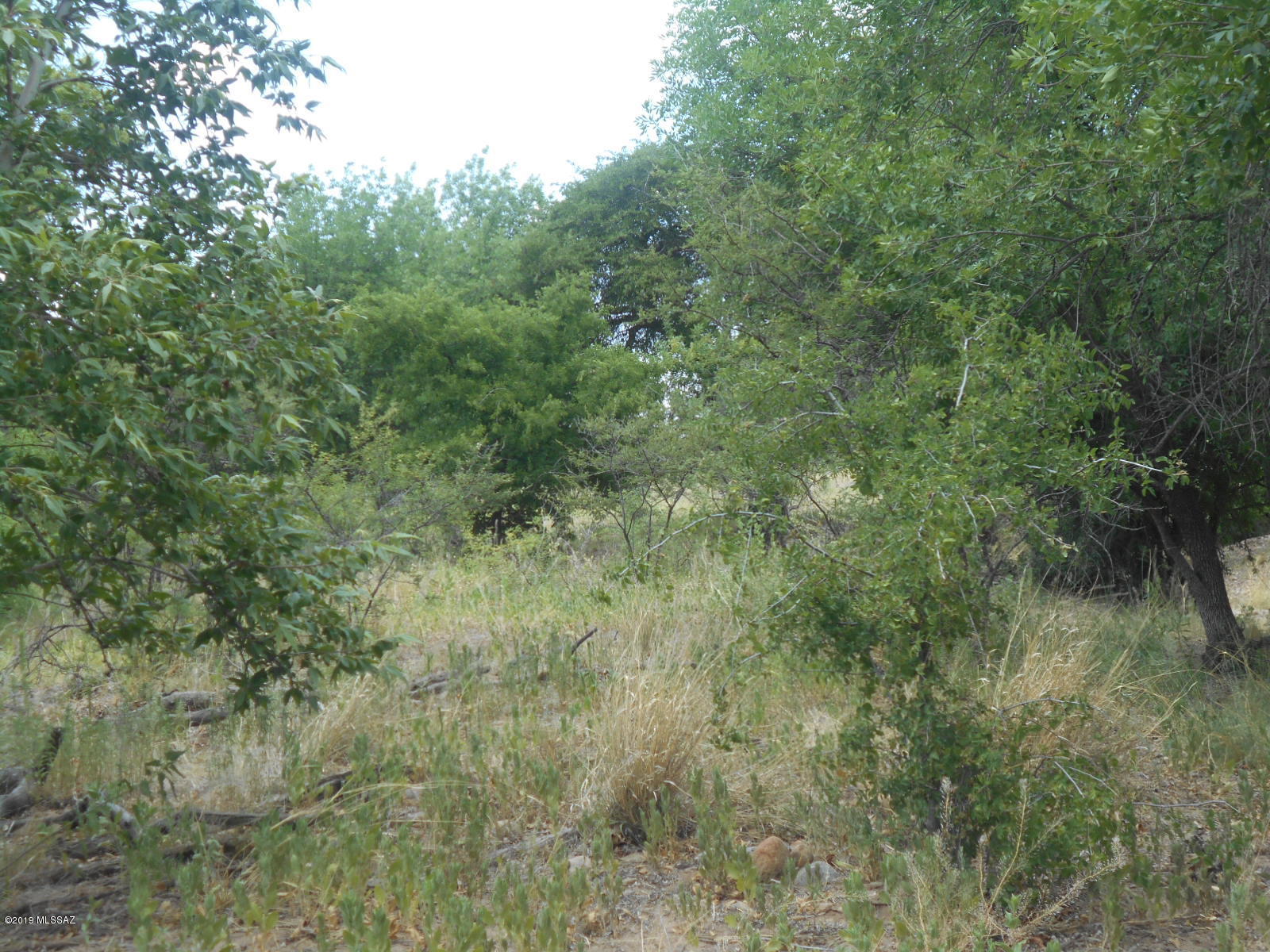 Turkey Creek Ranch - Land