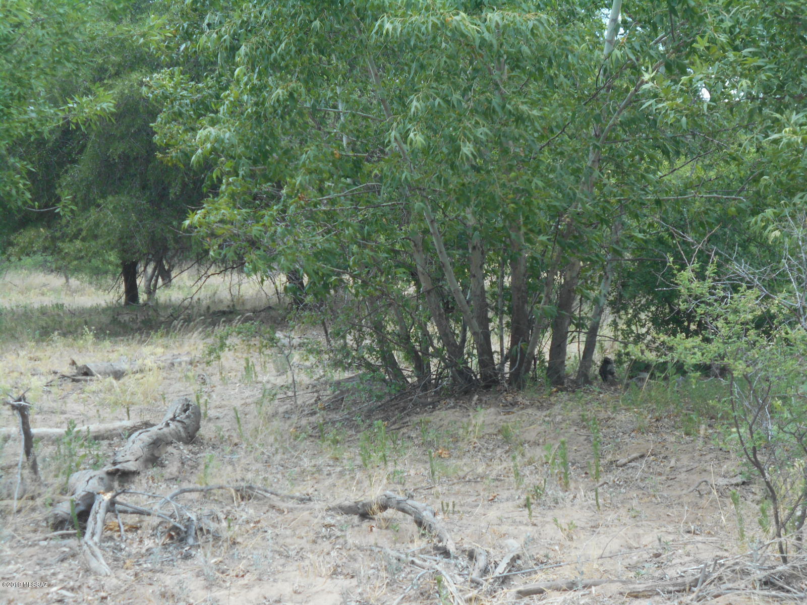 Turkey Creek Ranch - Land