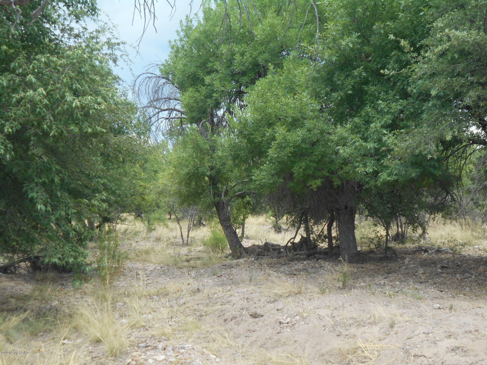 Turkey Creek Ranch - Land