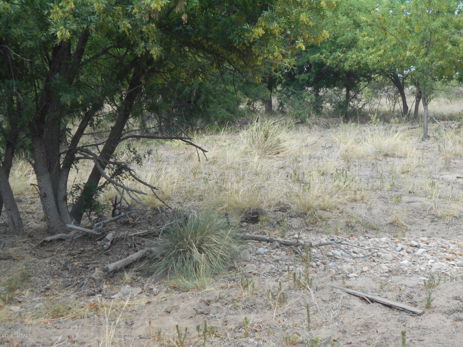 Turkey Creek Ranch - Land