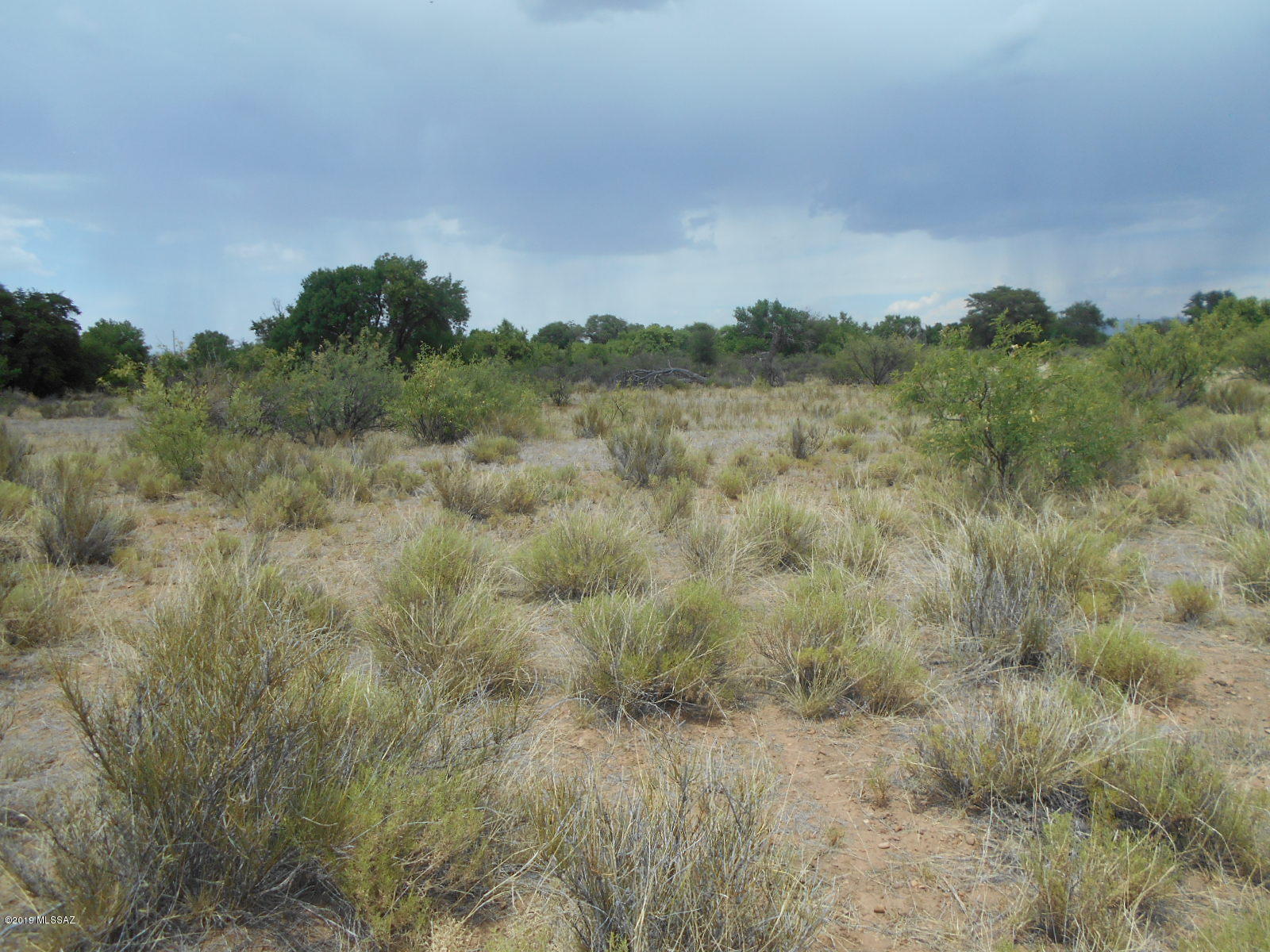 Turkey Creek Ranch - Land