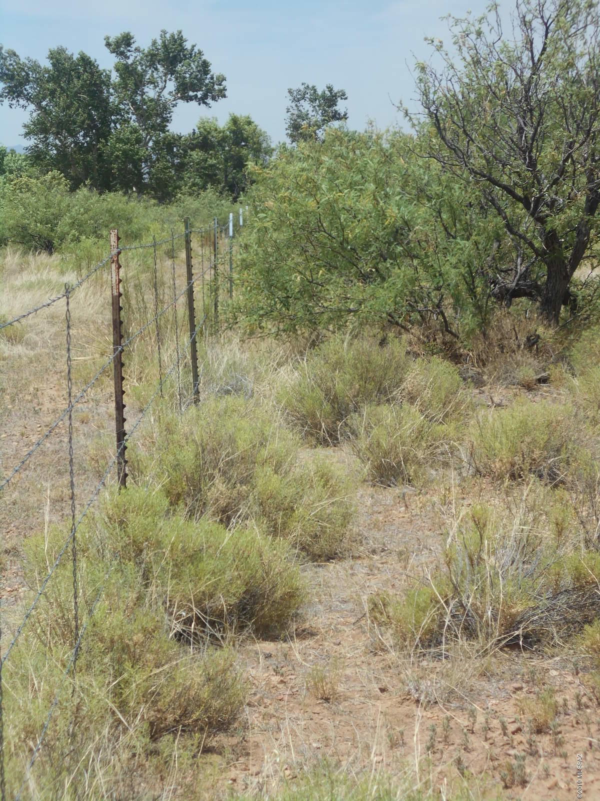 Turkey Creek Ranch - Land