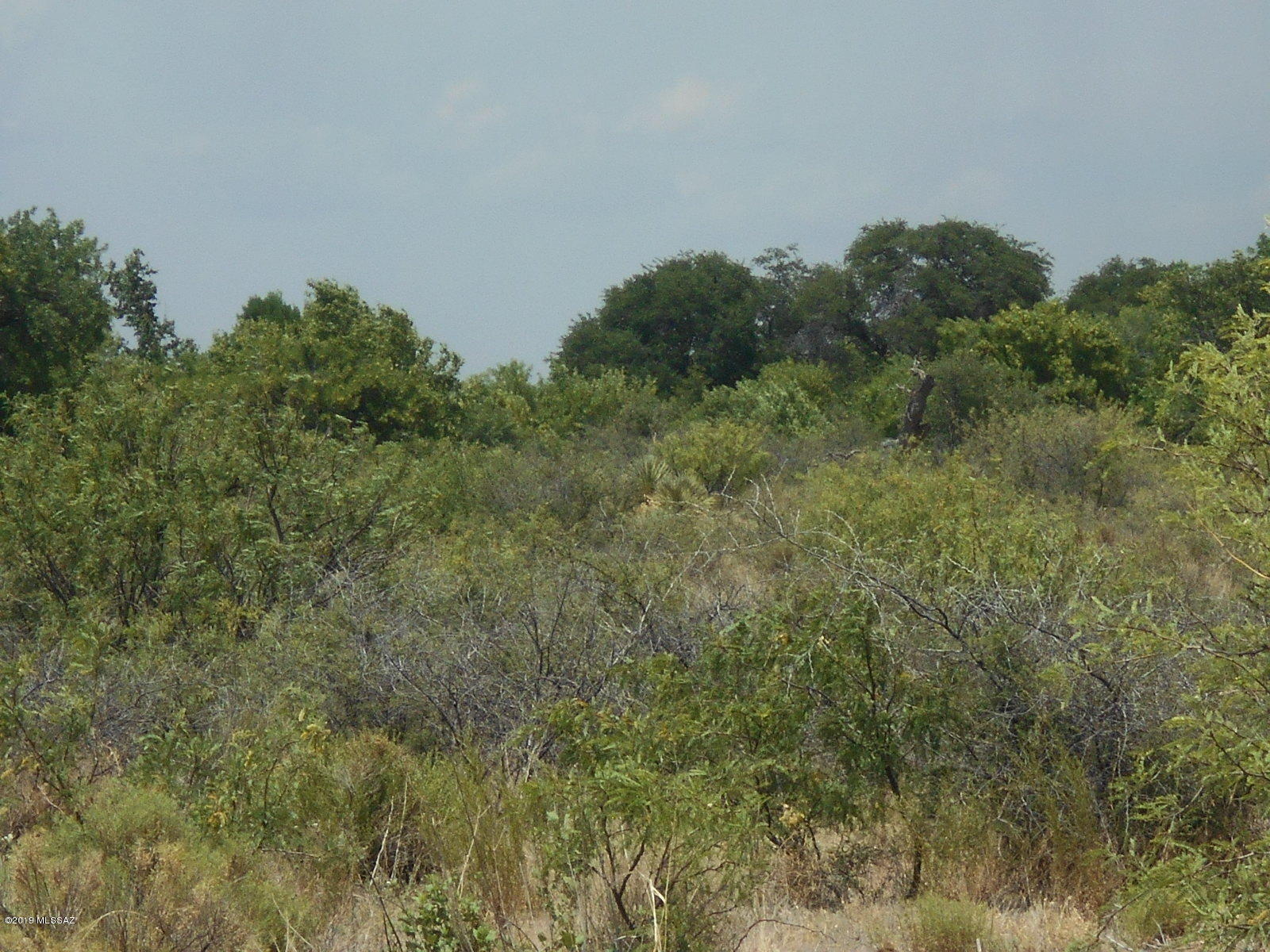 Turkey Creek Ranch - Land