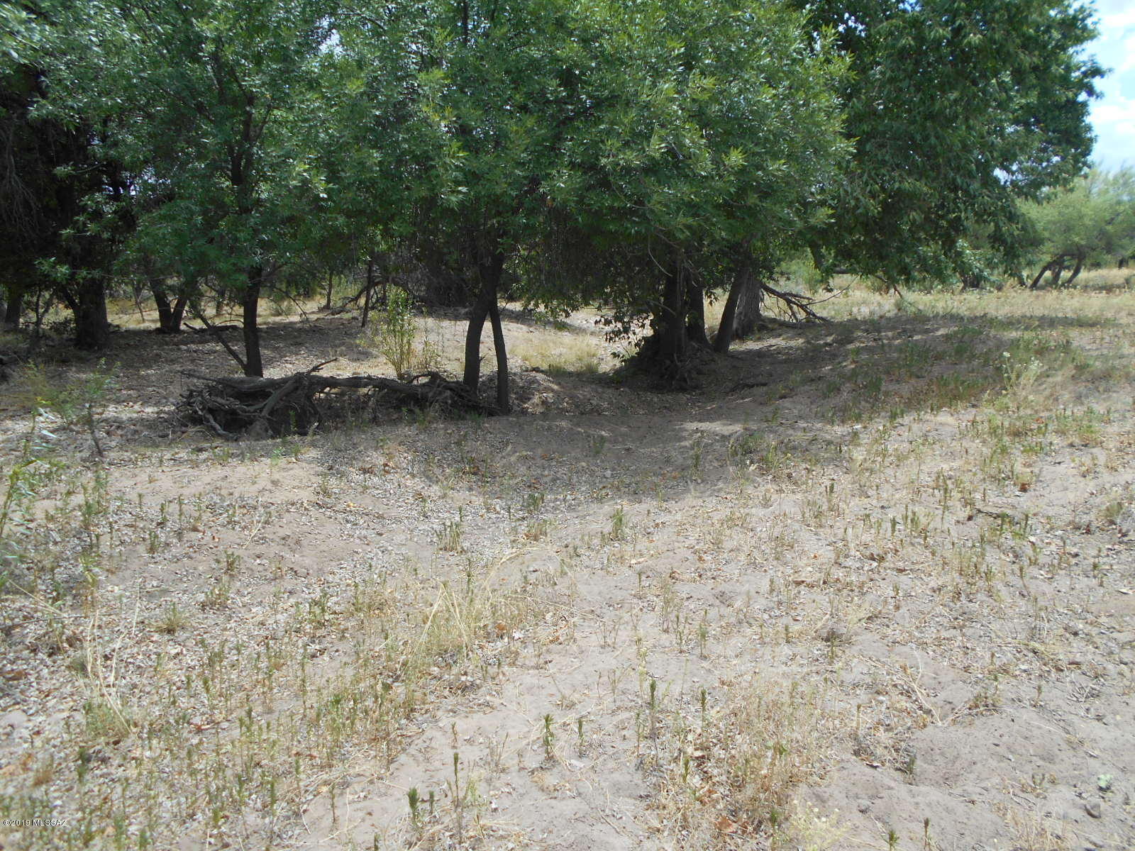 Turkey Creek Ranch - Land