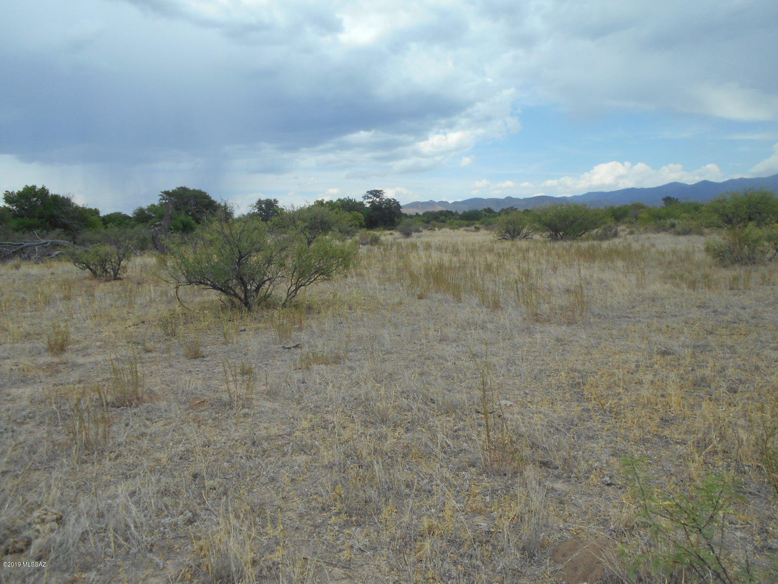 Turkey Creek Ranch - Land