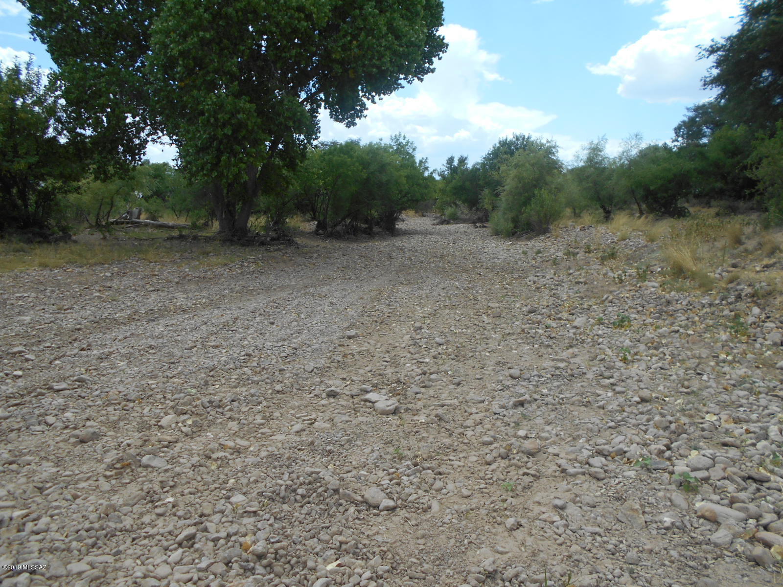 Turkey Creek Ranch - Land