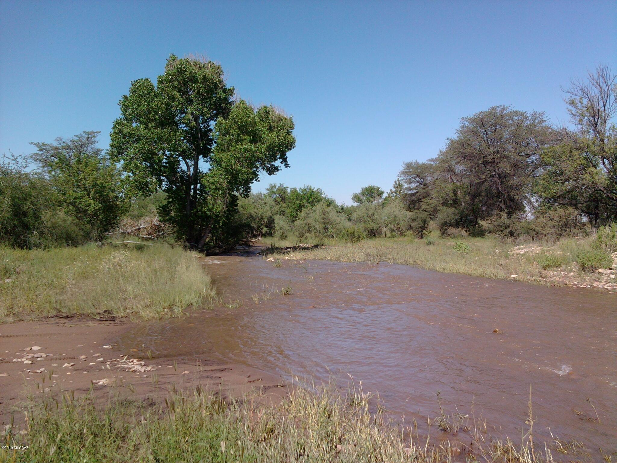 Turkey Creek Ranch - Land