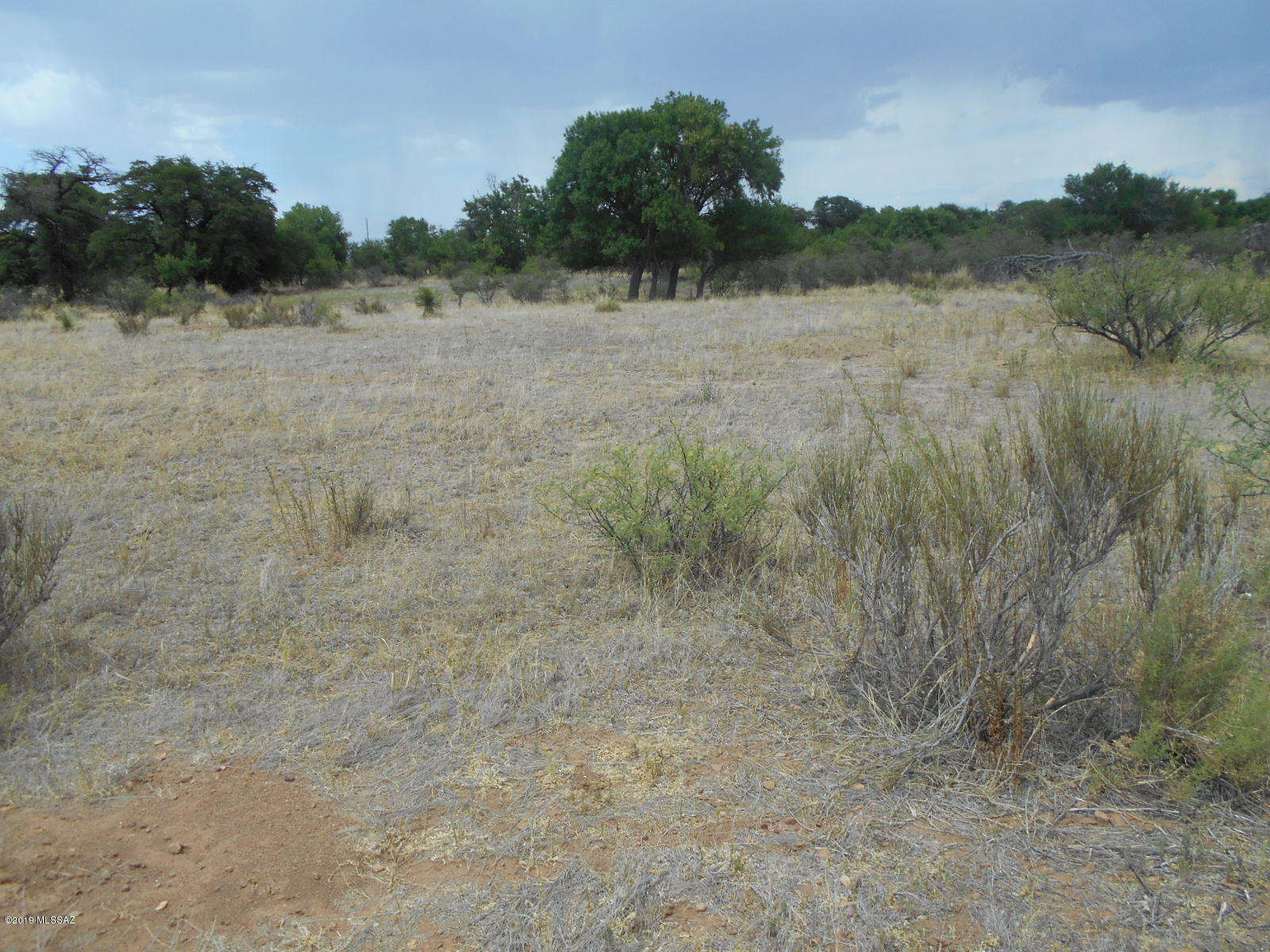 Turkey Creek Ranch - Land