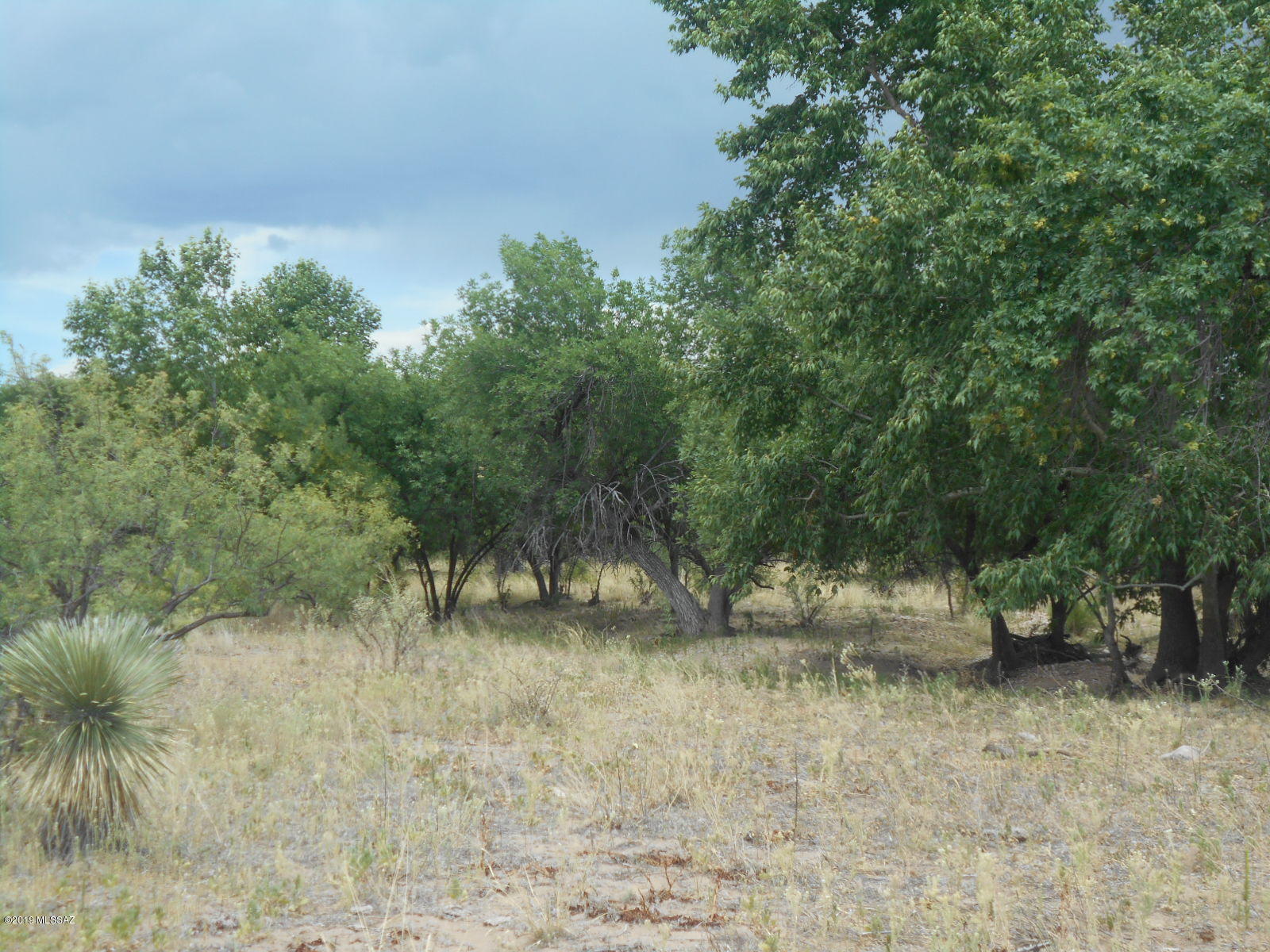 Turkey Creek Ranch - Land