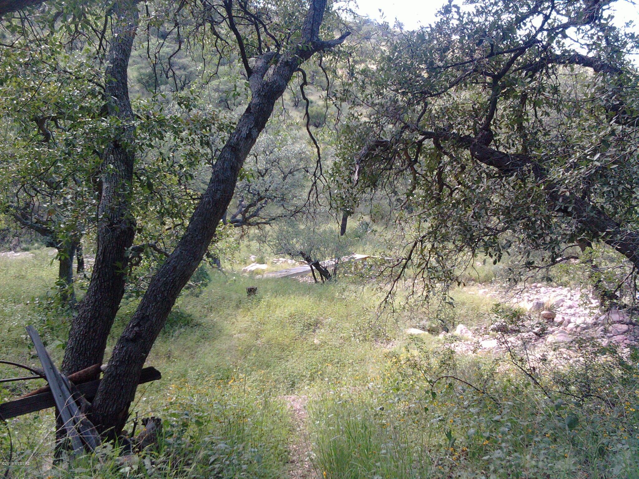 Turkey Creek Ranch - Land