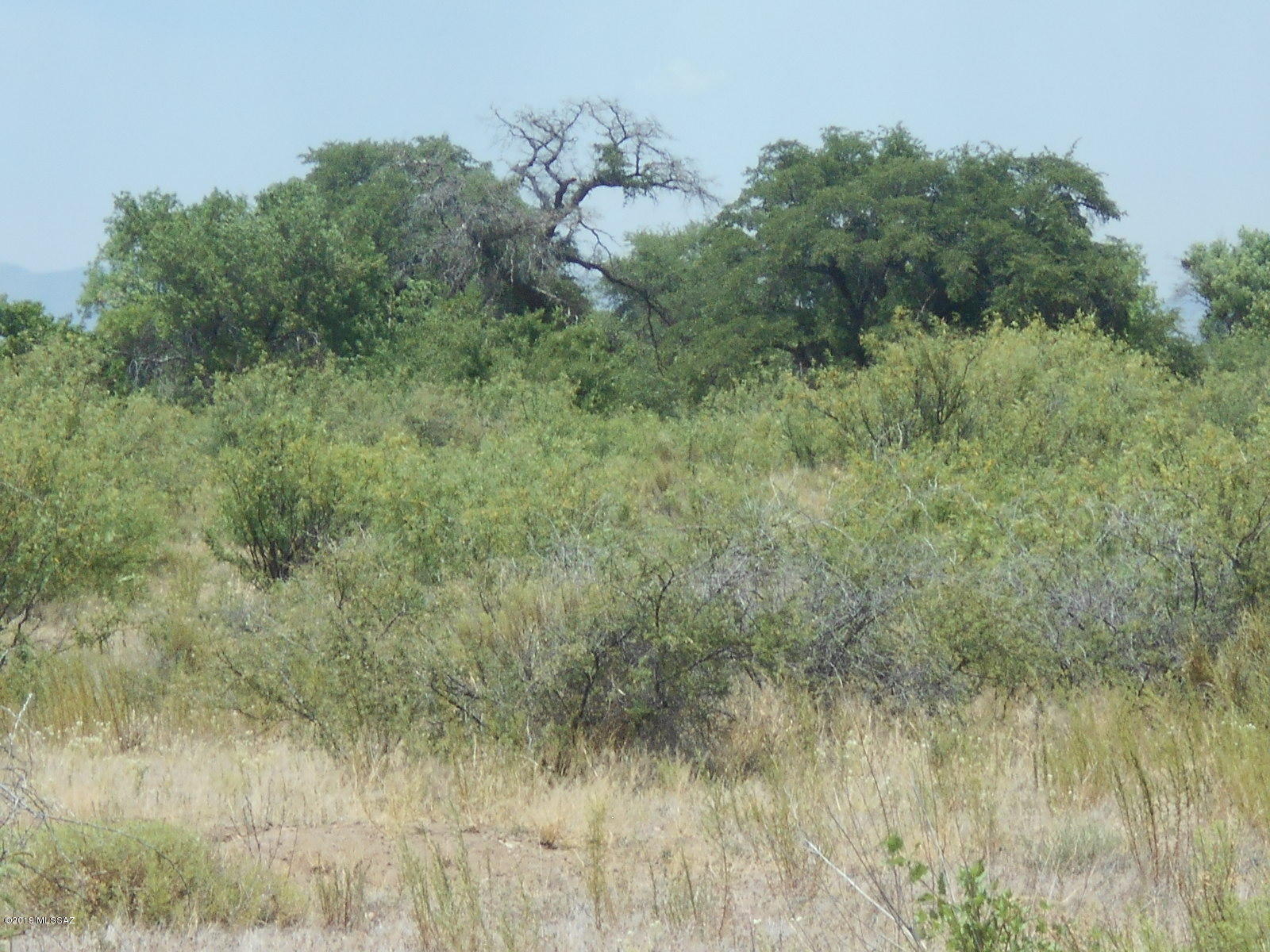 Turkey Creek Ranch - Land