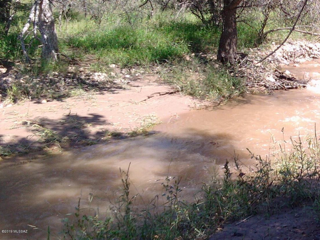 Turkey Creek Ranch - Land