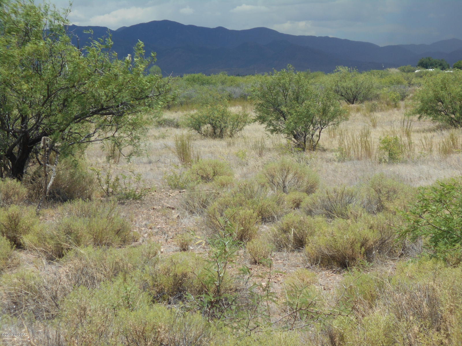Turkey Creek Ranch - Land