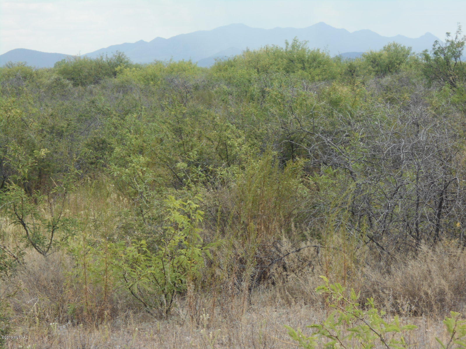 Turkey Creek Ranch - Land
