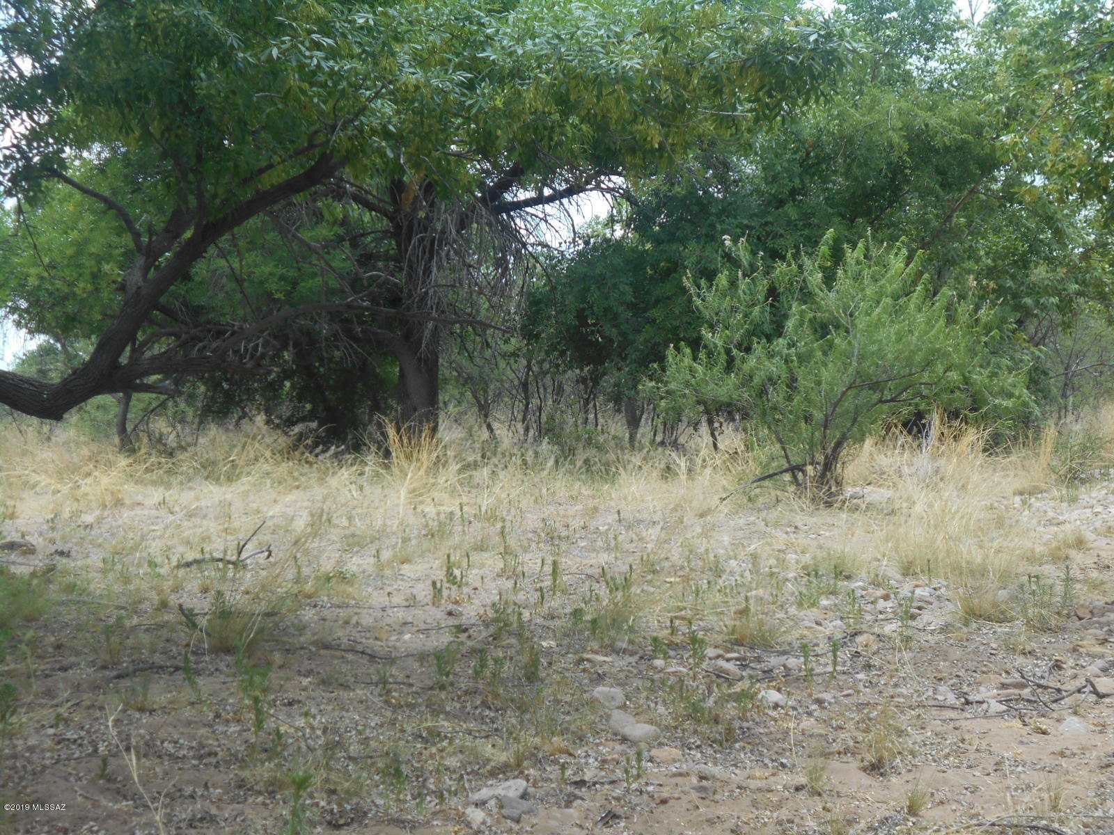 Turkey Creek Ranch - Land