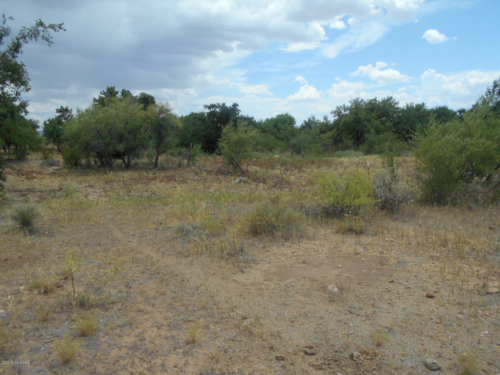 Turkey Creek Ranch - Land