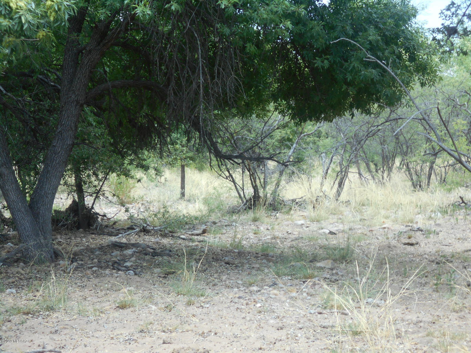 Turkey Creek Ranch - Land