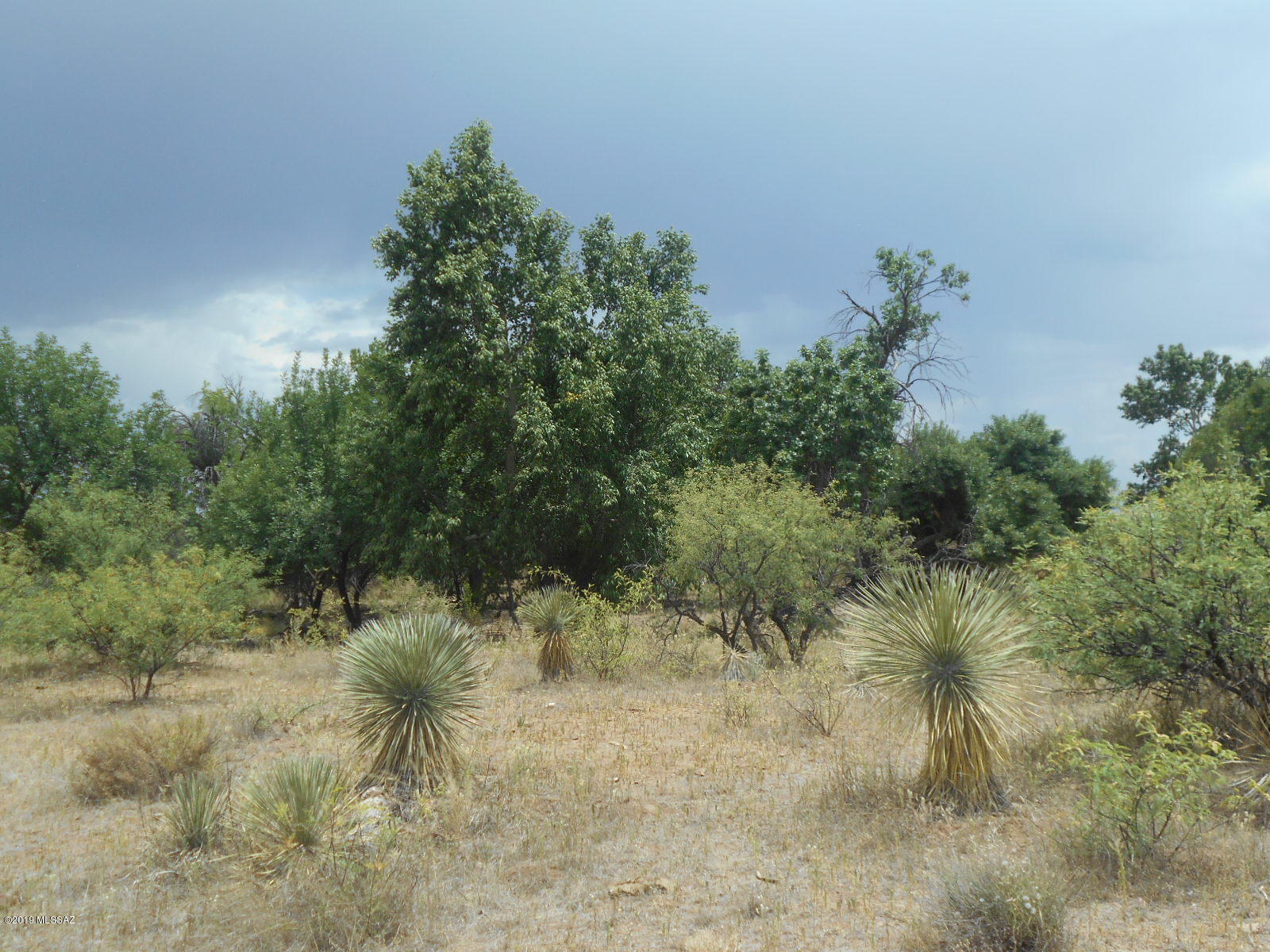 Turkey Creek Ranch - Land