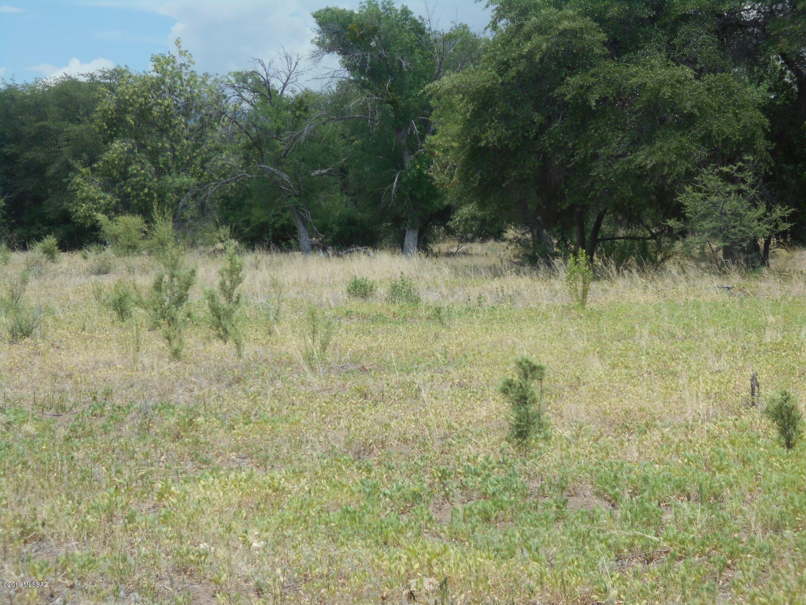 Turkey Creek Ranch - Land