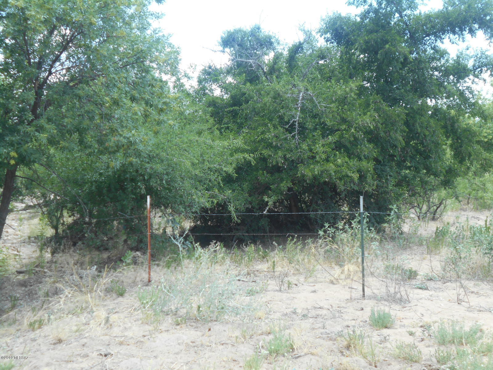 Turkey Creek Ranch - Land