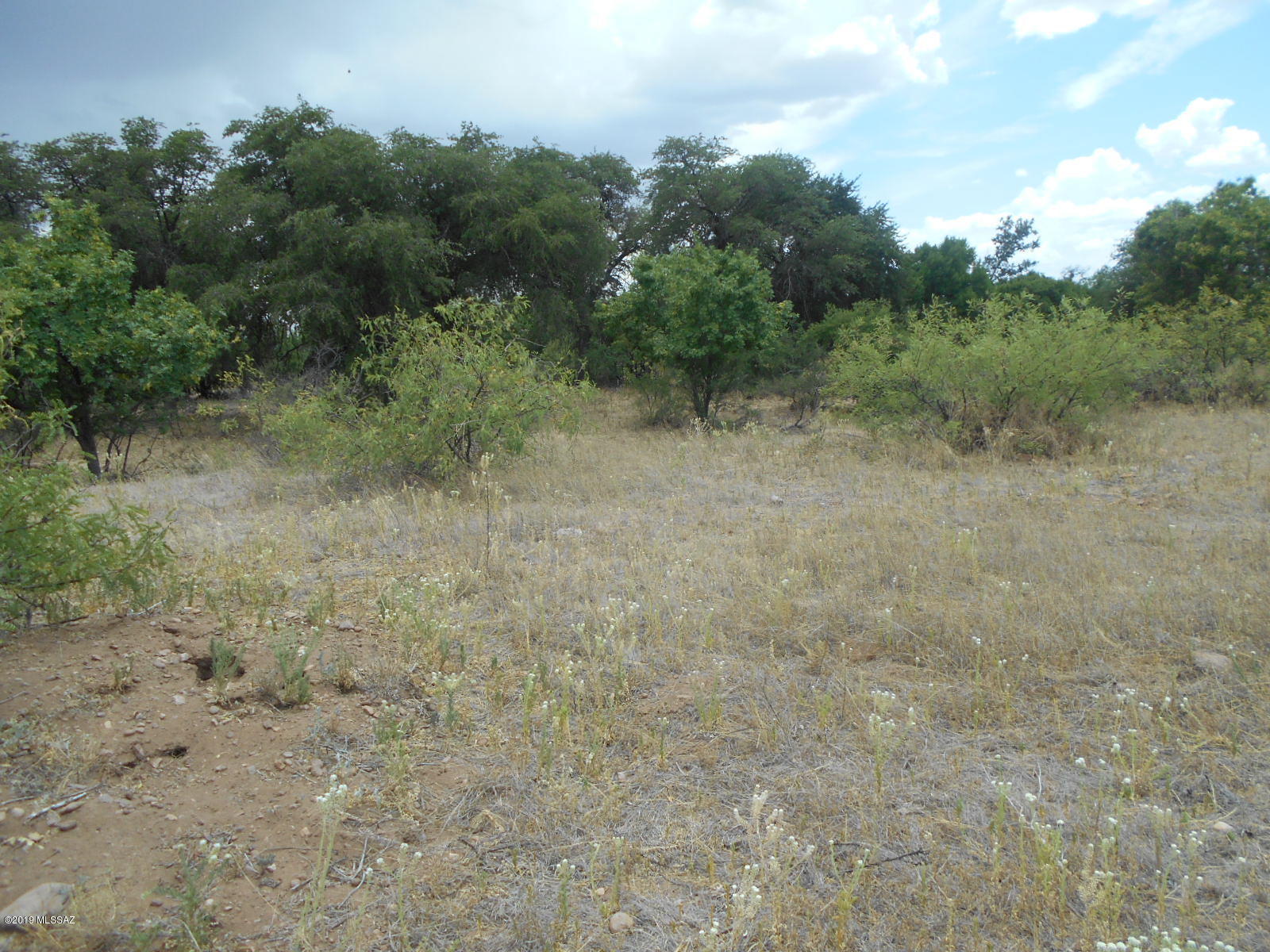 Turkey Creek Ranch - Land