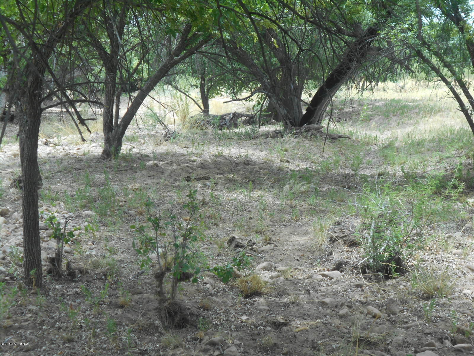 Turkey Creek Ranch - Land