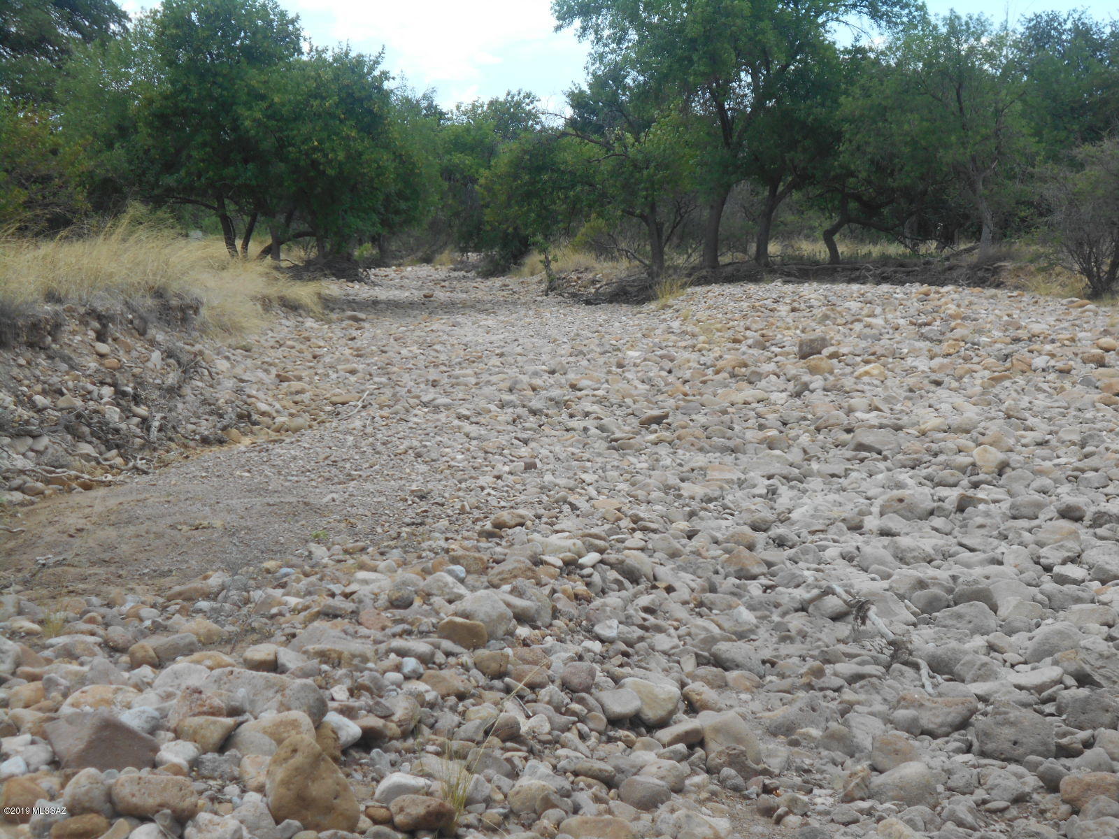 Turkey Creek Ranch - Land