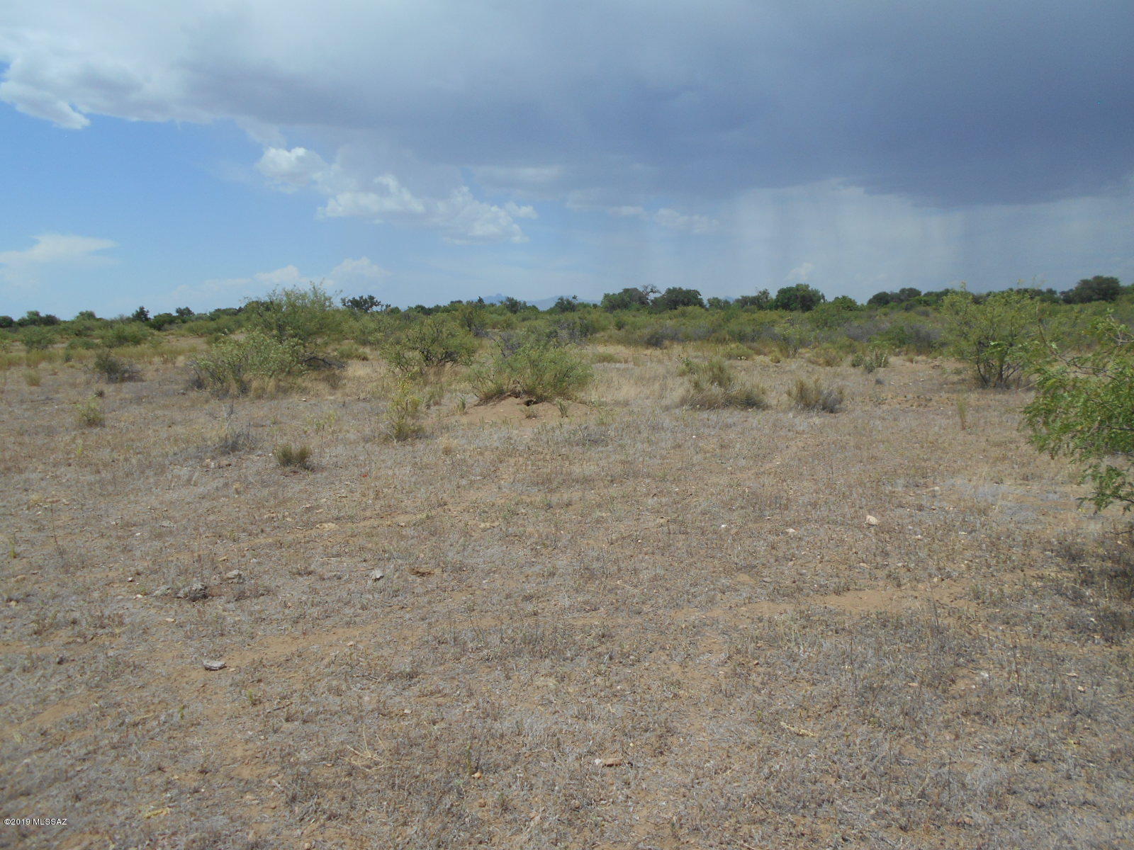 Turkey Creek Ranch - Land