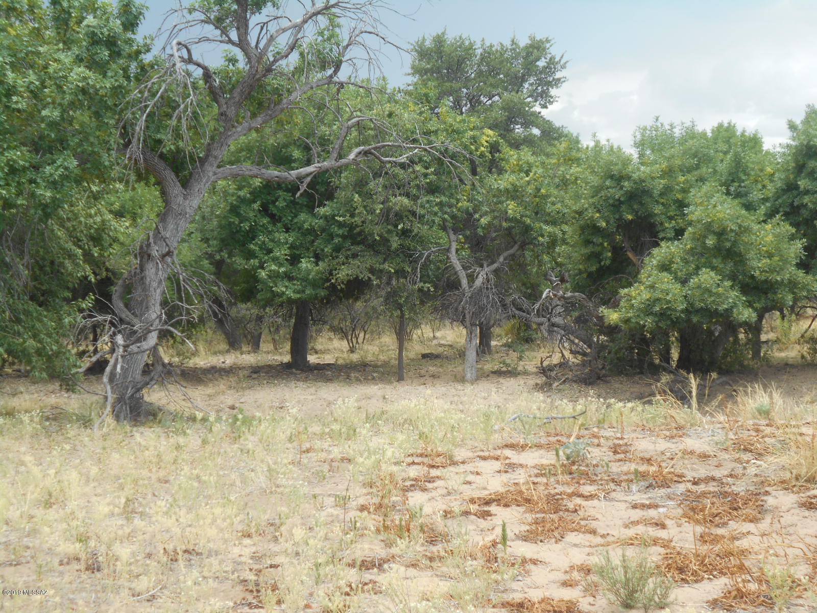 Turkey Creek Ranch - Land