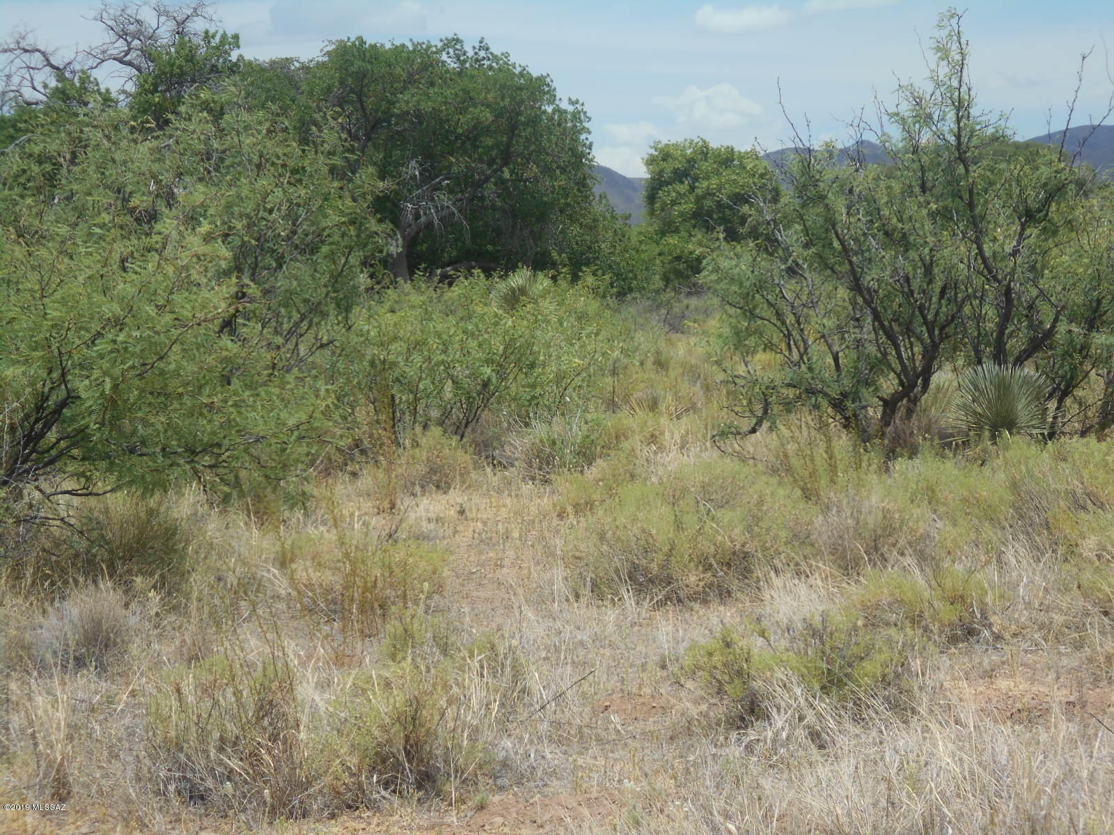 Turkey Creek Ranch - Land