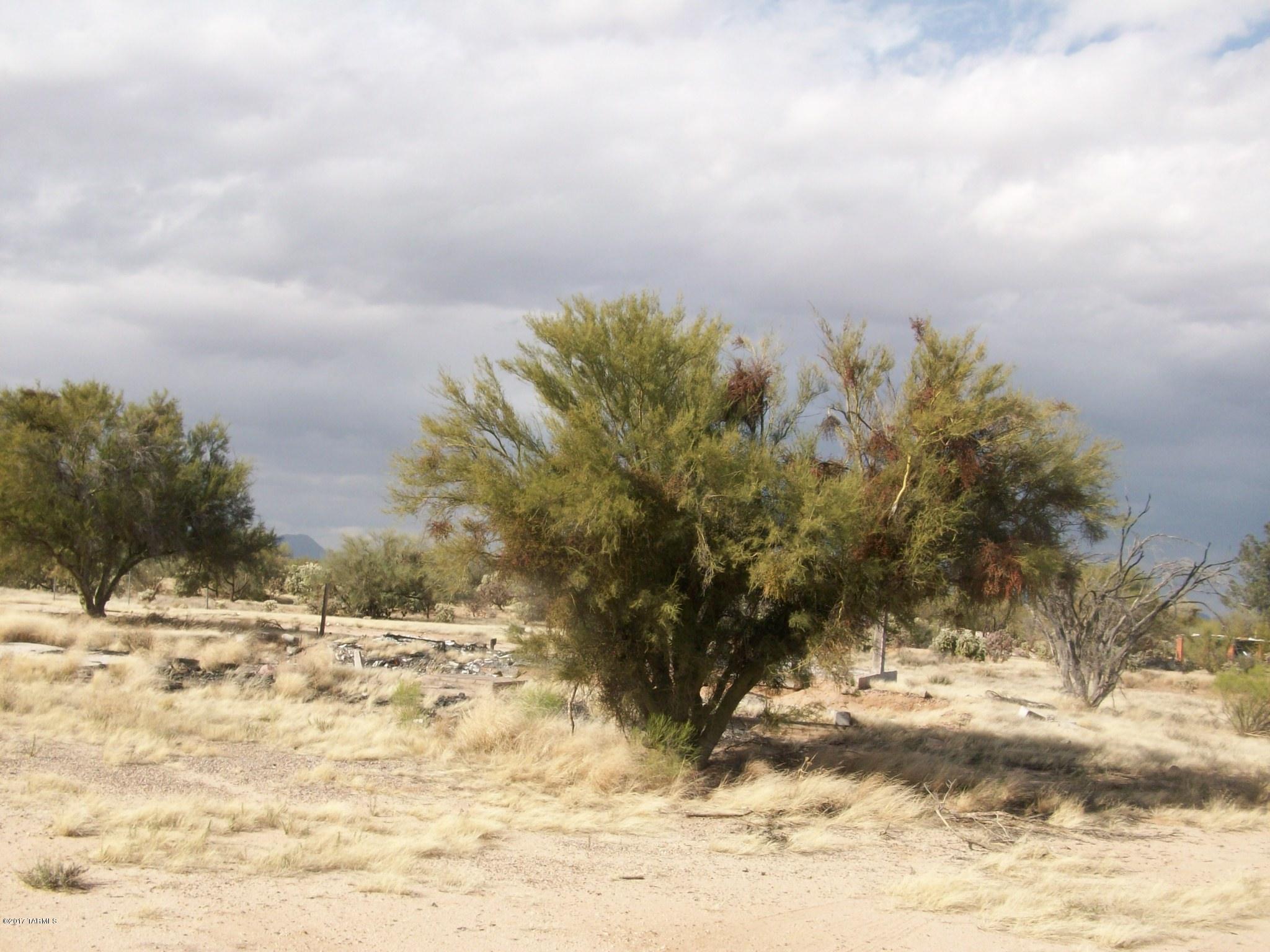 Diamond Bell Ranch - Tucson (1-229) - Land