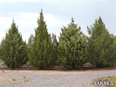 Out Of Pima County - Residential