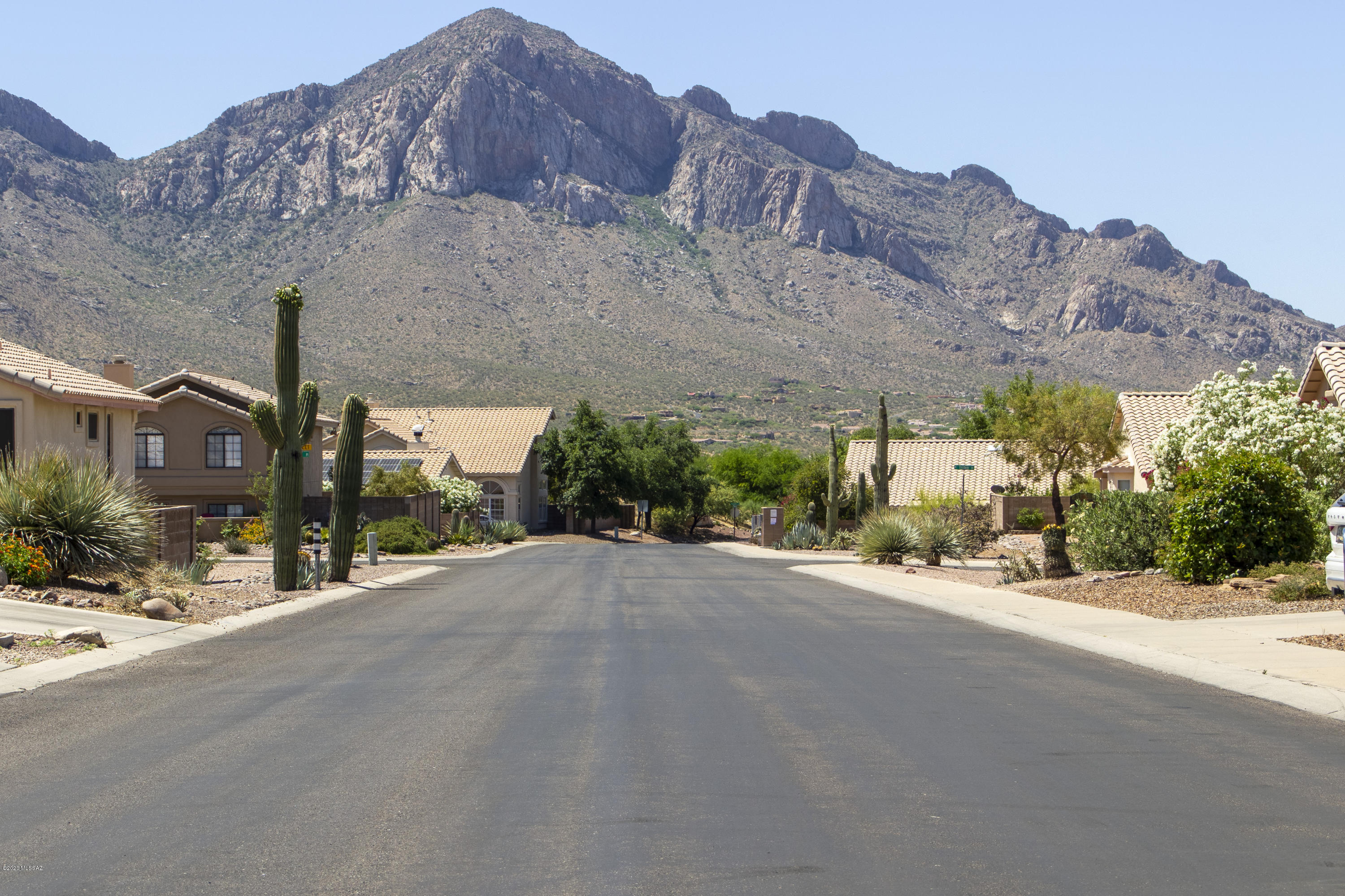 Catalina Shadows(1-169) - Residential Lease