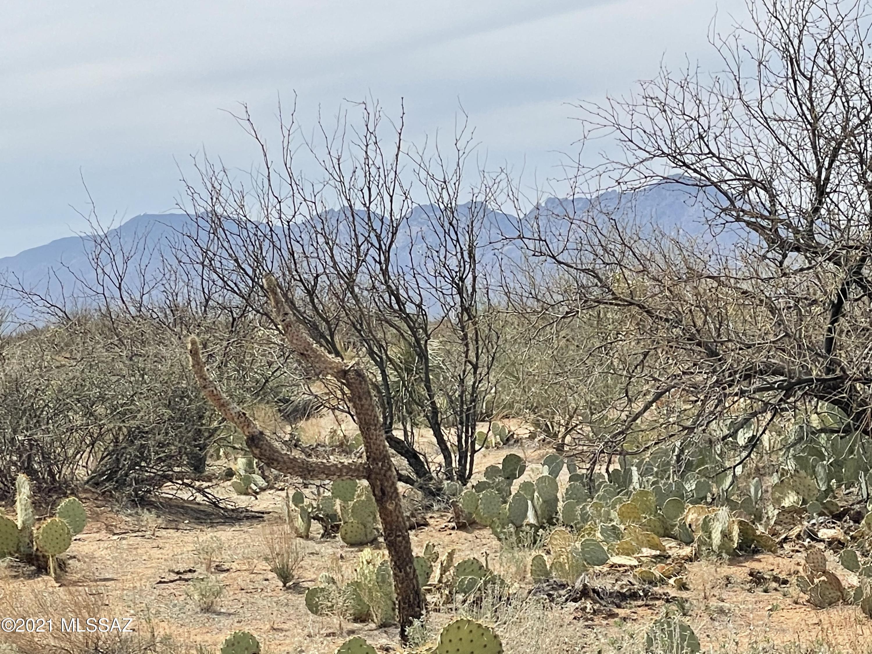 1.27 acres only a mile from paved road! Stop and take a look at this gem and build your dream home, tiny home, or have for weekend getaways. Wildlife is abundant, javelinas, deer, bird watching. Ride quads, horses or take advantage of hiking to the mountain tops to see forever and watch the sunsets! Priced to sell quick! Will need to bring a power source, and haul water. Not off the grid but the nearest connection is over a mile. Priced to sell quick!