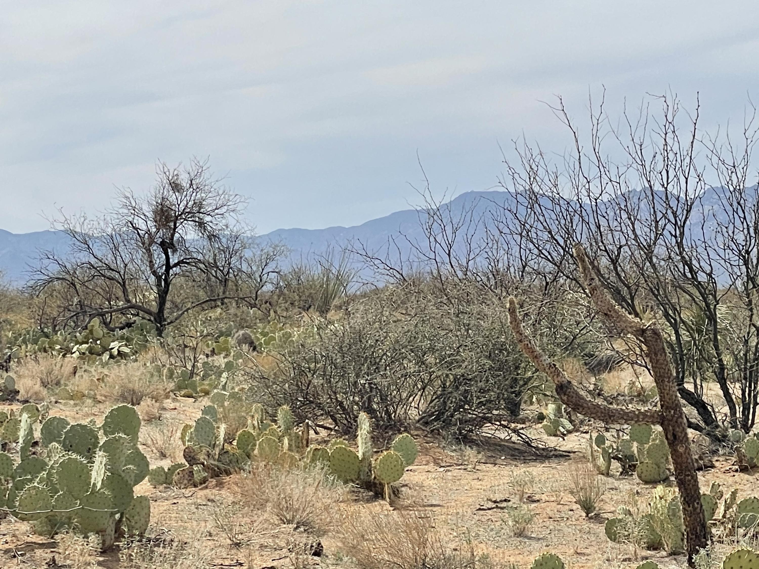 Diamond Bell Ranch - Tucson Unit 6 (1-435) - Land