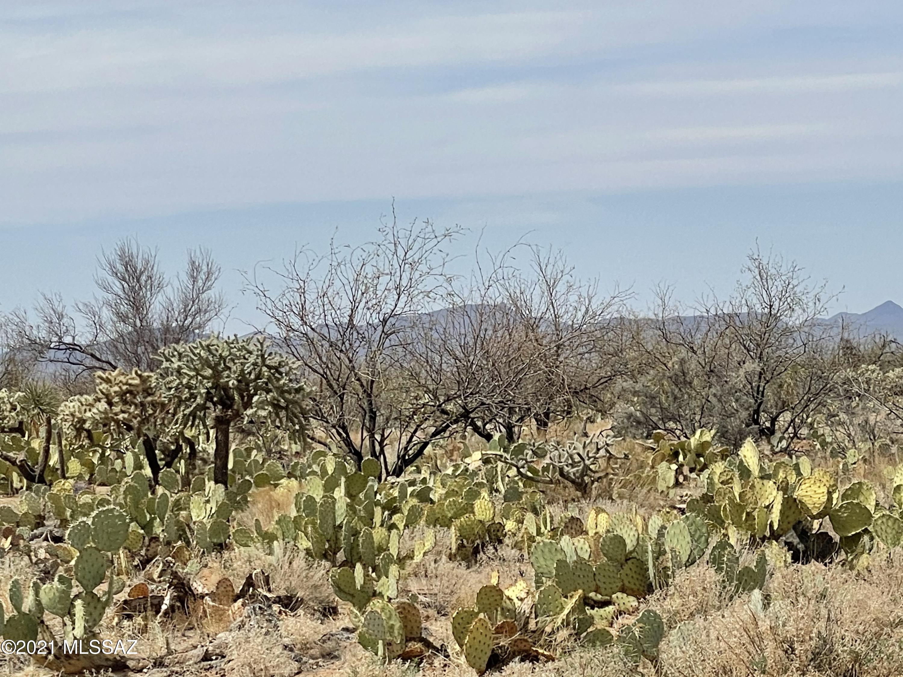 Diamond Bell Ranch - Tucson Unit 6 (1-435) - Land