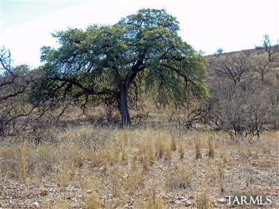 Lake Patagonia Ranch - Land